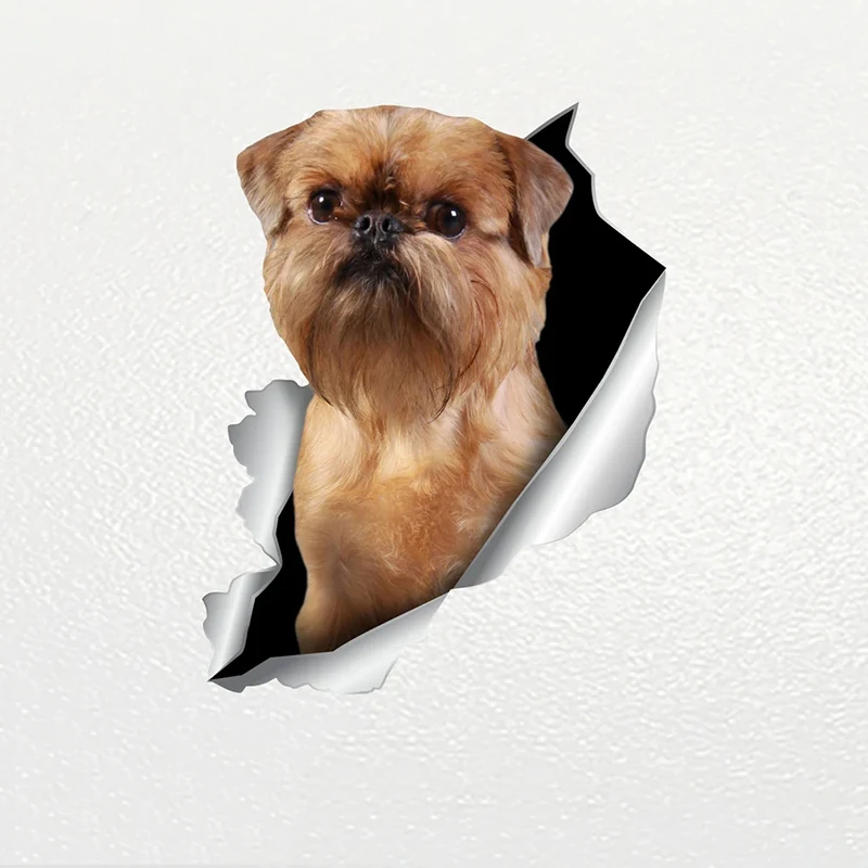 S62227# Car Sticker Brussels Griffon Dog Pet Animal Waterproof Vinyl Decal Car Accessories Decor Pegatinas Para Coche