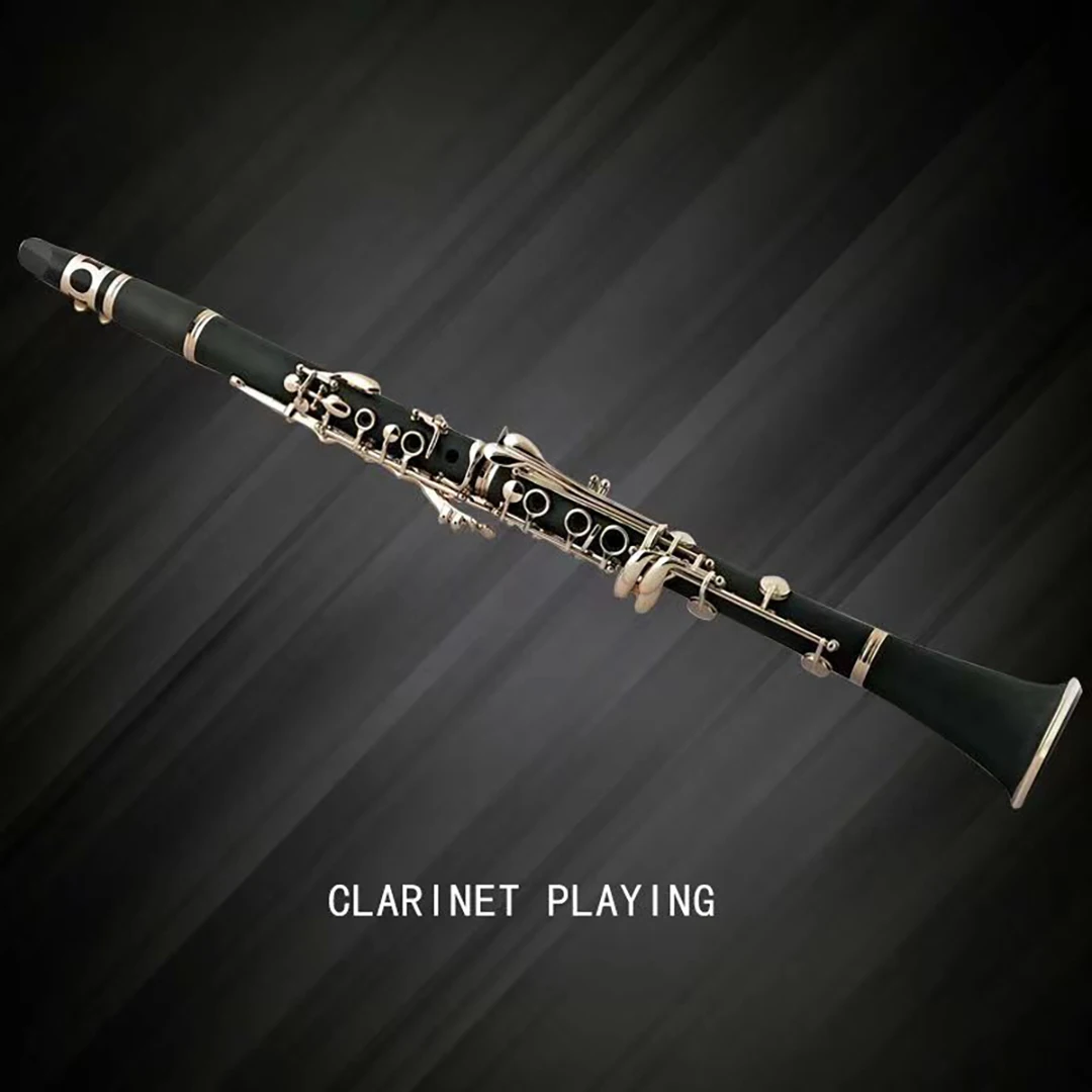 Falling Tune B Clarinet 17 Key Woodwind Instruments Suitable For Beginners Full Timbre Instrument with Canvas Bag