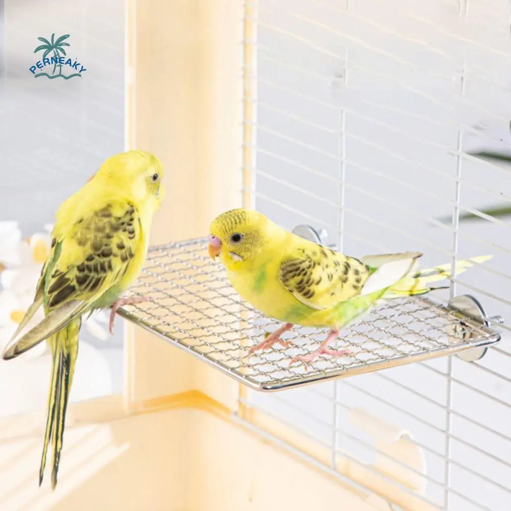 

Wear Resistant Parrot Steel Mesh Platform Bite Resistant Silver Bird Station Board Stainless Steel Parrot Perches Stand