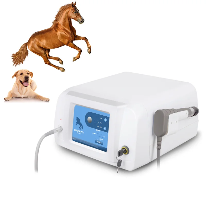 Veterinary  equipment Chiropractic & Animal ESWT Shockwave Treatment Acoustic Wave Massager Shockwave for Animal Machine