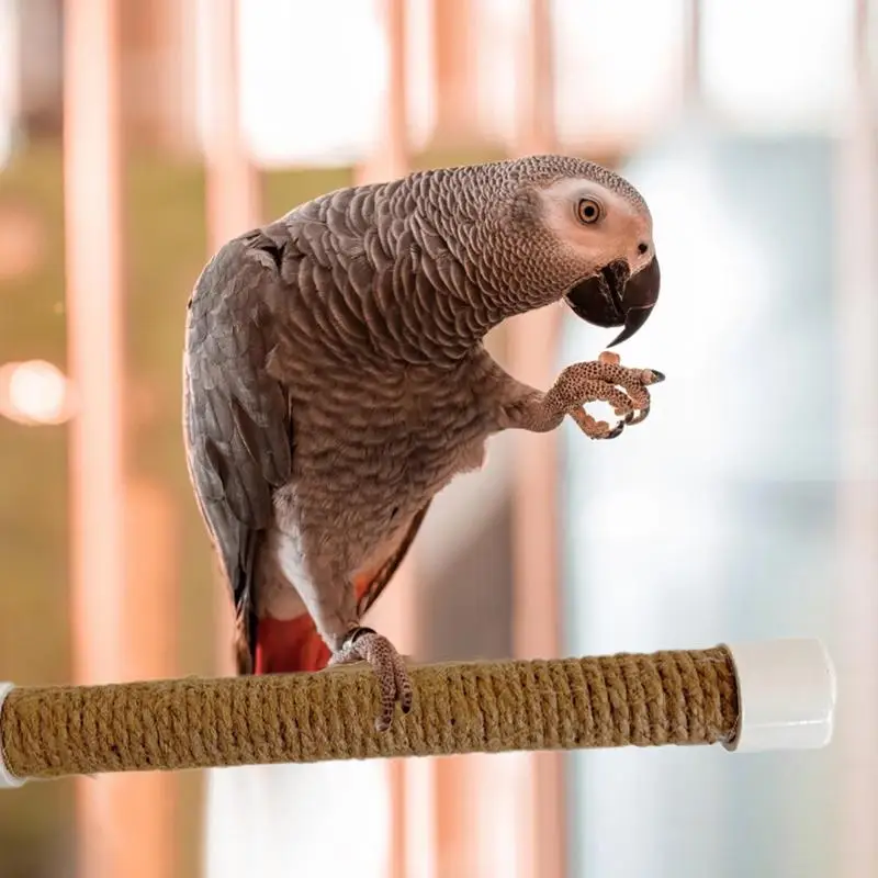 Suction Cup Bird Window And Shower Perch Toy For Parrot Macaw Cockatoo African For Grey Conure Parakeet Parrot bracket view 4