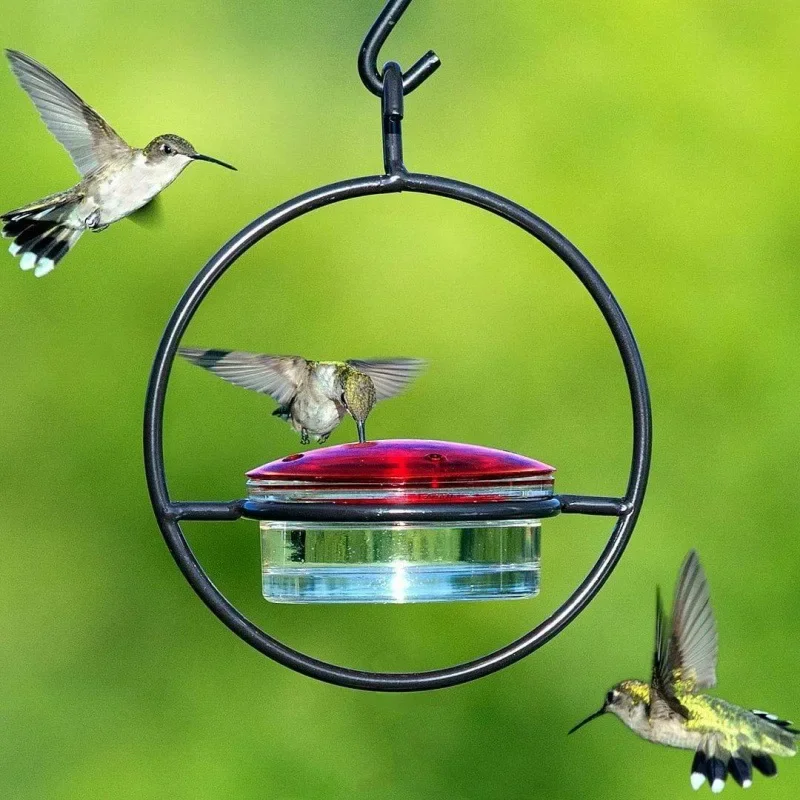 Outdoor Hummingbird Feeder Hanging Metal Food Tray Patio Garden Food Water Storage Bird Animal Feeding Place