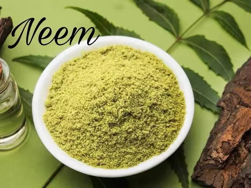 100% Pure Neem Powder,NaturaOrganic Neem Leaf Powder(Azadirachtaindica) Dried Leaf