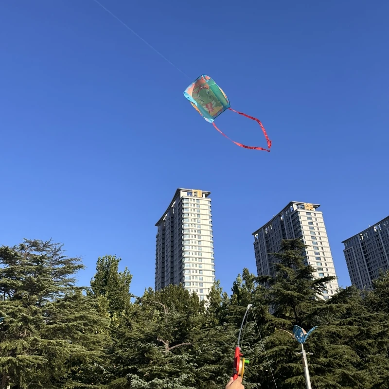 Free Shipping pocket kites flying for kids kites factory ripstop nylon fabric outdoor game toys flying bird kite a liner kite