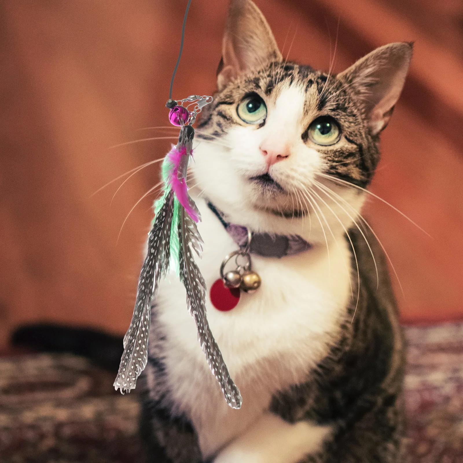 

Cat Teaser Wand Toy Interactive Stick Teasing Kitten Bell Dangler Rod All Natural