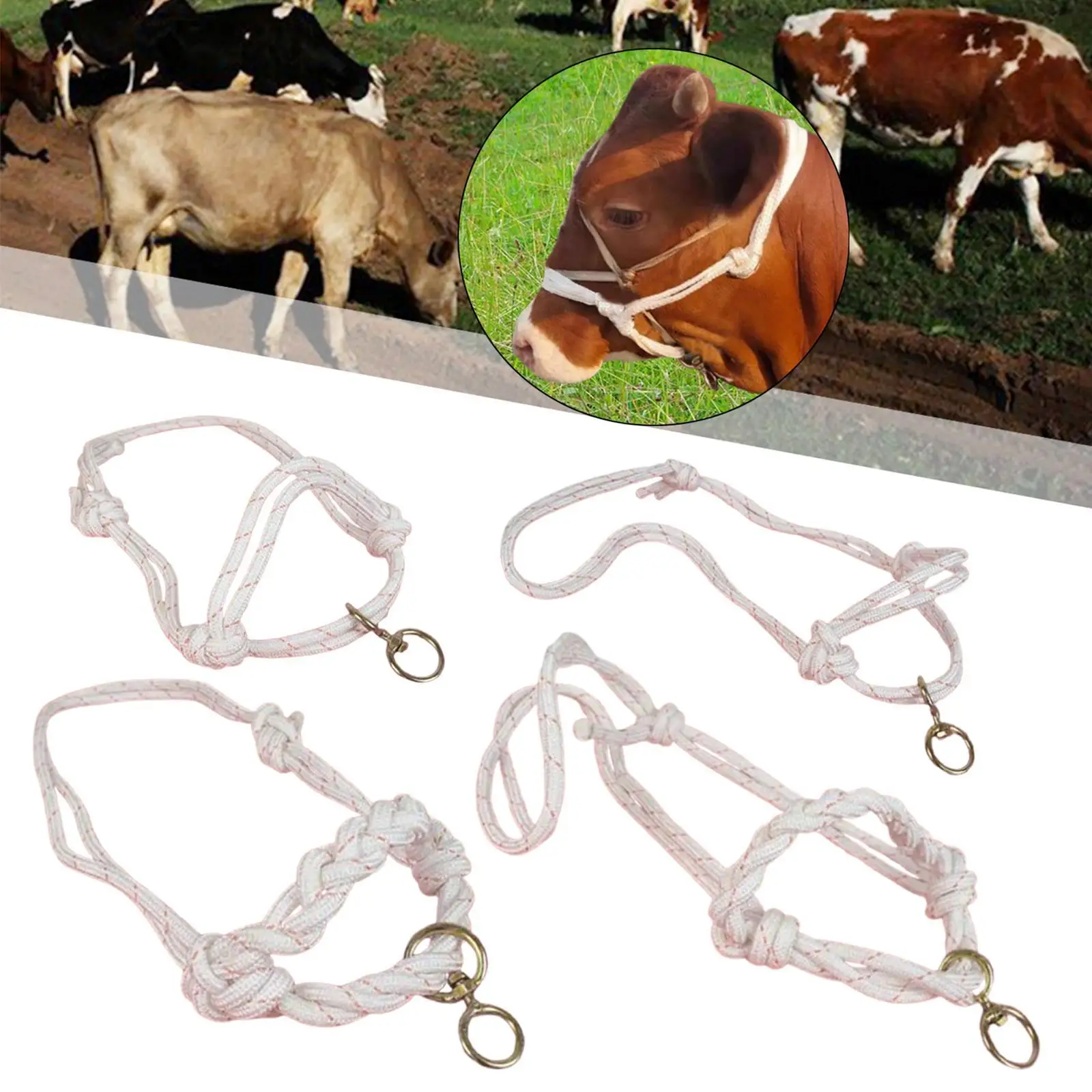 Bull Bridle Livestock Tools Supply Nylon for Home Cattles Farms Cow Halter