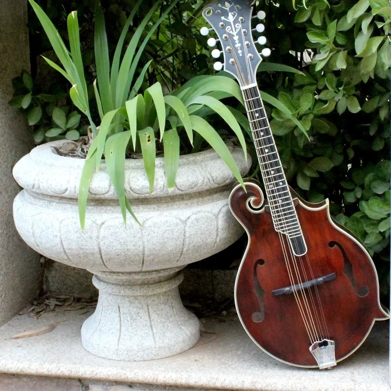 FM-90DF handmade full single board mandolin mandolin lute