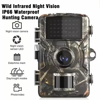 Trail Camera 1