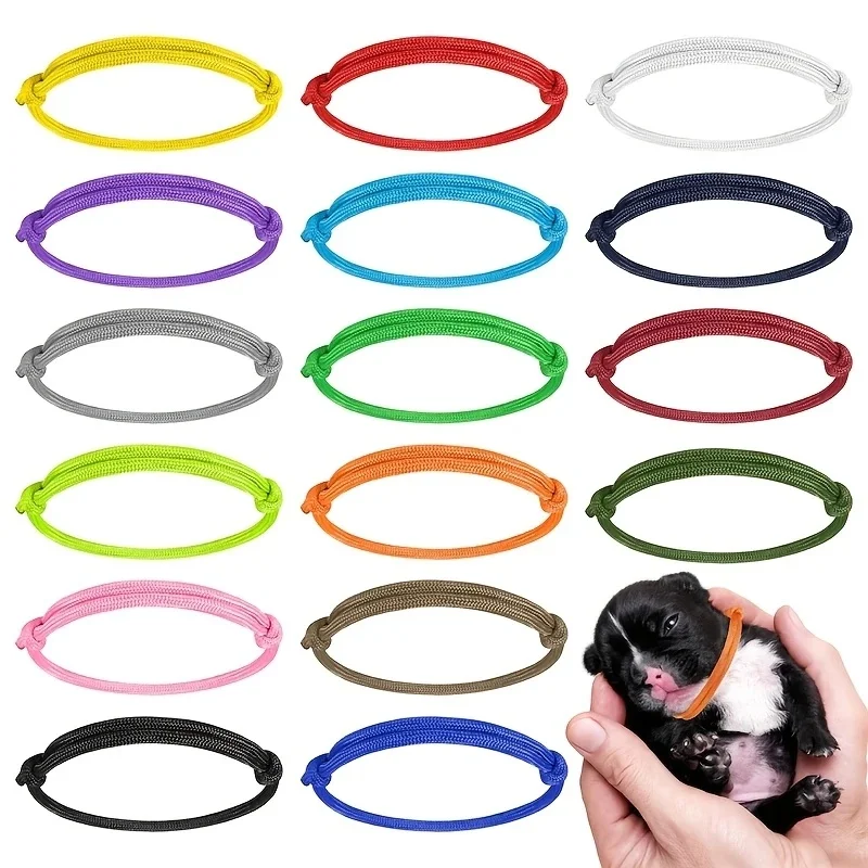 #36 Compare Puppy Collars Before You Buy