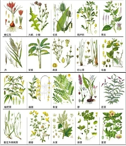 

Комплект металлических шасси, соединительных и тяговых стержней, креплений для боковых подножек и амортизаторов WPL C64 C64-1 для радиоуправляемых моделей 1/16: запчасти и аксессуары для тюнинга