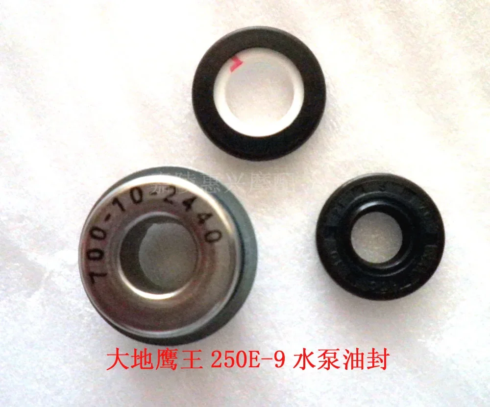 Water Pump Shaft Bearing Water Seal for 253FMM Rebel CA250 CMX250 Baja Phoenix 250 Regal Raptor DD250