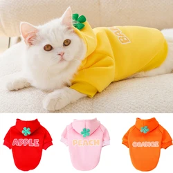Classic Fruit Print Sphynx Cat Hoodie Sweater Autumn Winter Warm Pet Clothes for Cats Gotas Garfield Katten Dog mascotas Costume