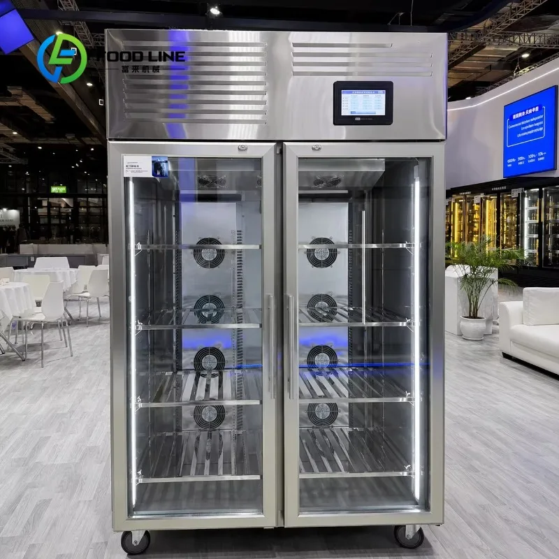 Customizable Meat Thawing Cabinet Efficient Electrostatic Defroster for Hotel Kitchen Bulk Pork Lamb Beef Processing customized