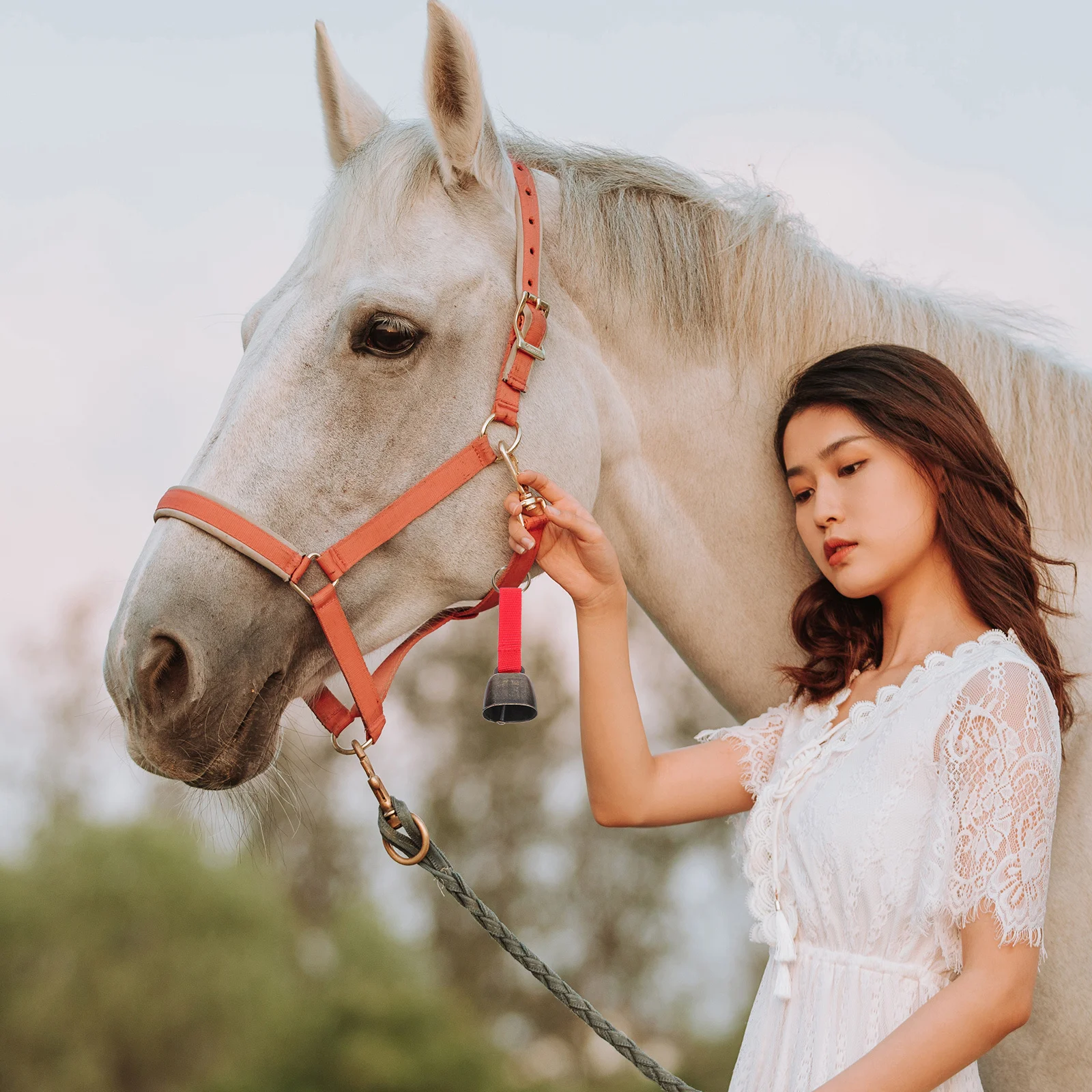 

5Pcs Bell Vintage Hiking Warning Bell for Outdoor Camping Climbing Cattle Dog Anti Lost Loud Travel Bells