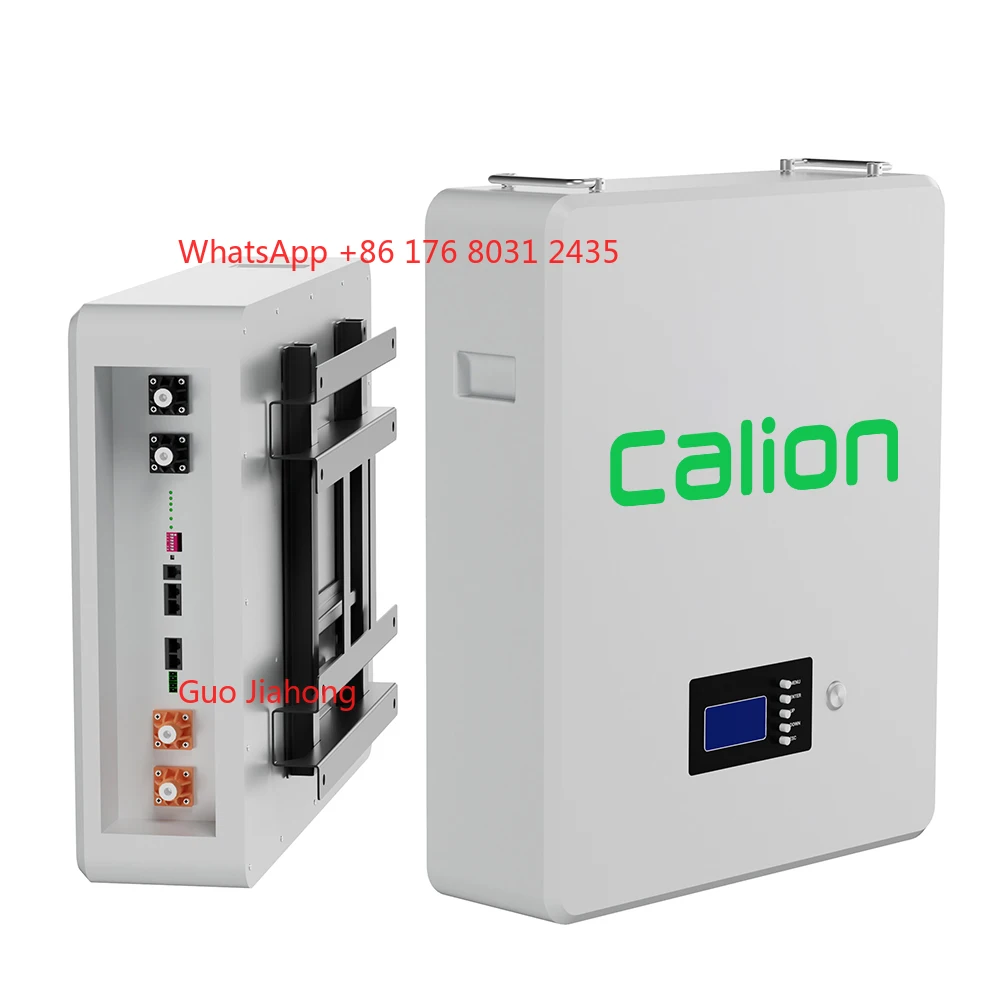 

CALION 100Ah 200Ah Lithium Lion 48V 51.2V Wall Mounted Energy Storage Battery 5kWh 10kWh Lifepo4 for Household