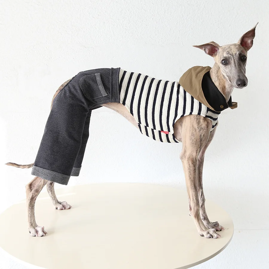 

Italian Greyhound Clothes with Cap, Sleeveless Jeans Onesie Striped Pet Sweaters for Fall Winter, Whippet Pullover for Dog 2026