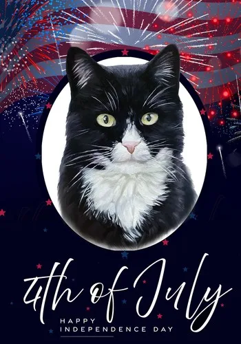 Black/White Tuxedo Cat Independence Day July 4th Flag ZZY