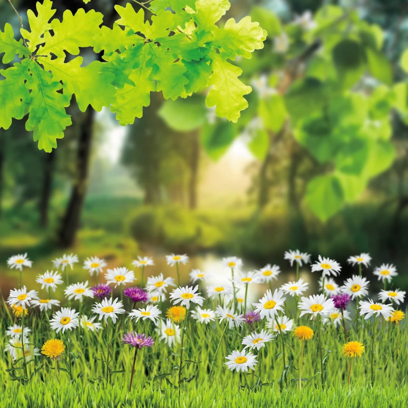 Frühling grün Baum Blätter Holzboden Hintergründe Baby Porträt Fotografie Dekor Fototermin Fotostudio Banner Hintergründe