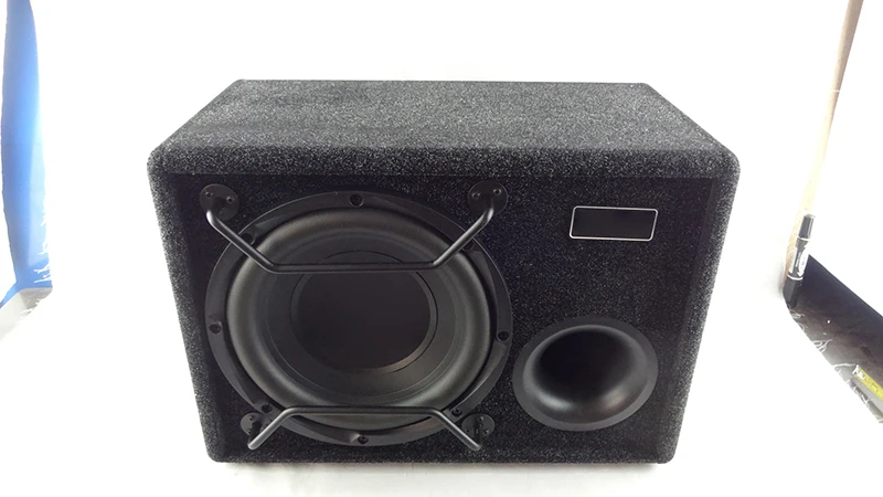 New Product for Car Stereo with Amplifier 10 Inch Car Audio Amplifier Subwoofer Speaker Overload Protection 350W