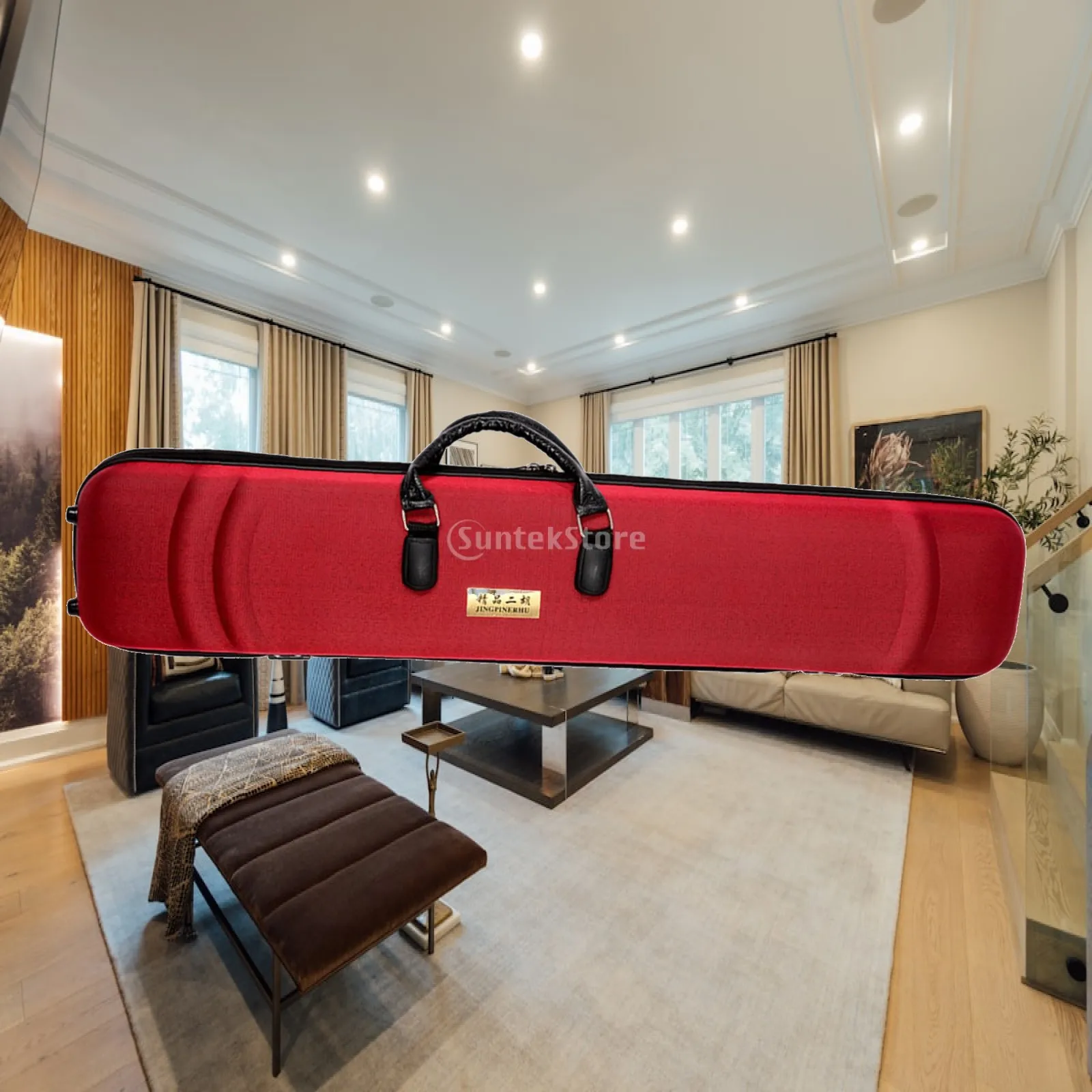 Erhu Bag Easy Carry Carry Handle Erhu Case Box Stage Performance Concert