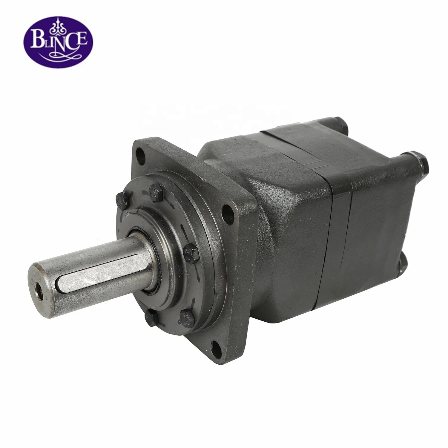 China Good Price Low Speed High Torque Orbit Hydraulic Motor OMT315 OMT400 OMT500 OMT630 OMT800