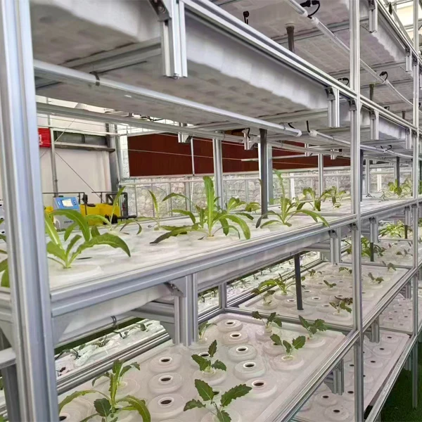 다공성 ABS 플라스틱 수경재배 트레이 묘목 및 클론 화분 채소 트레이와 뚜껑 포함 농업용 온실용