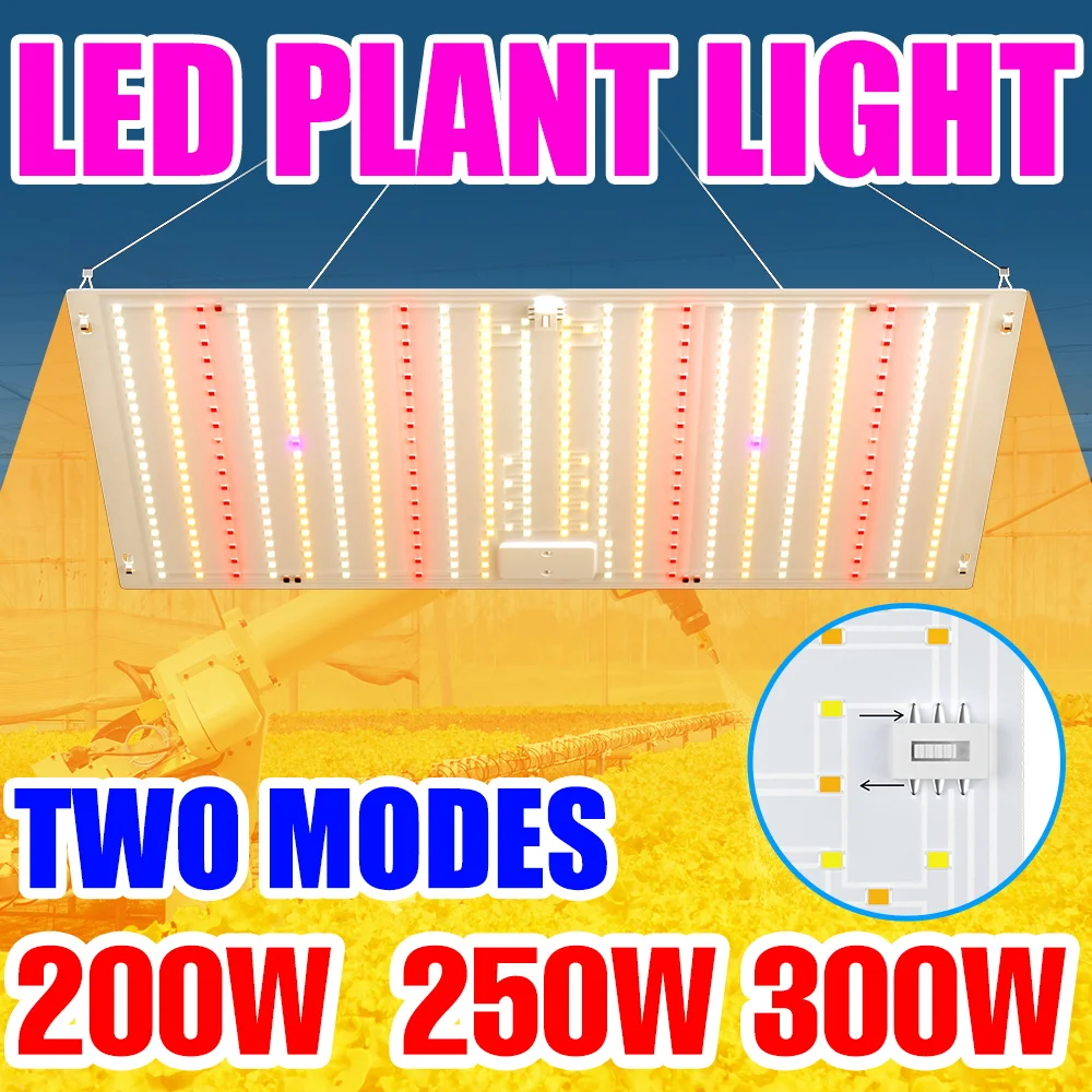 

300W LED Full Spectrum Grow Light Quantum Board Plant Hydroponic Fill Lamp Indoor Greenhouse Tent Potted Cultivation Lighting
