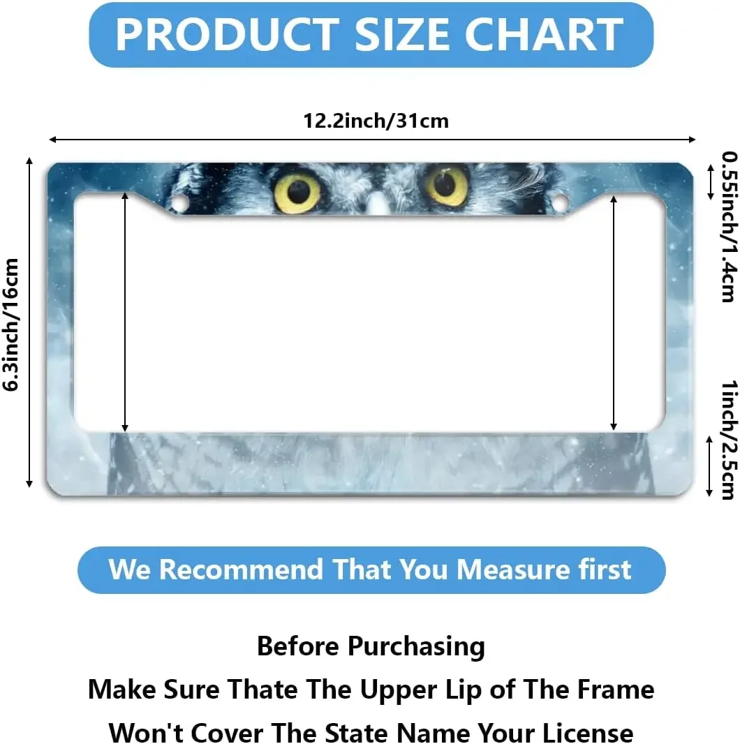 Owl Eyes 2pcs License Plate Frames Universal Novelty Plate Holder Tag Sign 12" x 6" Car Exterior Accessories for Us Vehicles image 2