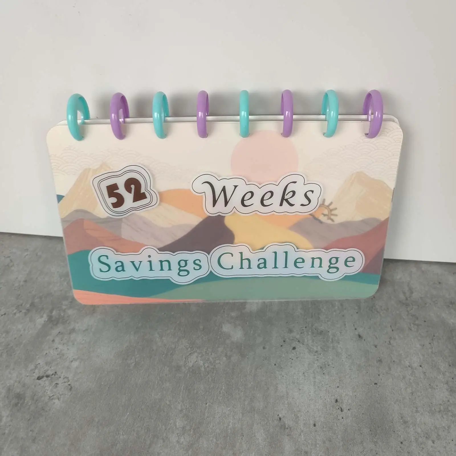 52 Week Money Saving Challenge Binder Simple for Budget Planner Travel