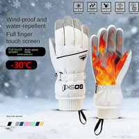 Winter Snowboard Ski Gloves PU Leather Non-slip Touch Screen Waterproof Motorcycle Cycling Fleece Warm Riding Gloves