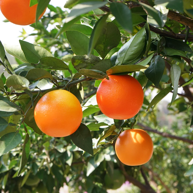 Kunststoff Simulation Orange Künstliche Früchte Lebensechte Küche Gefälschte Obst Home Decor Weihnachten Party Tisch Dekoration