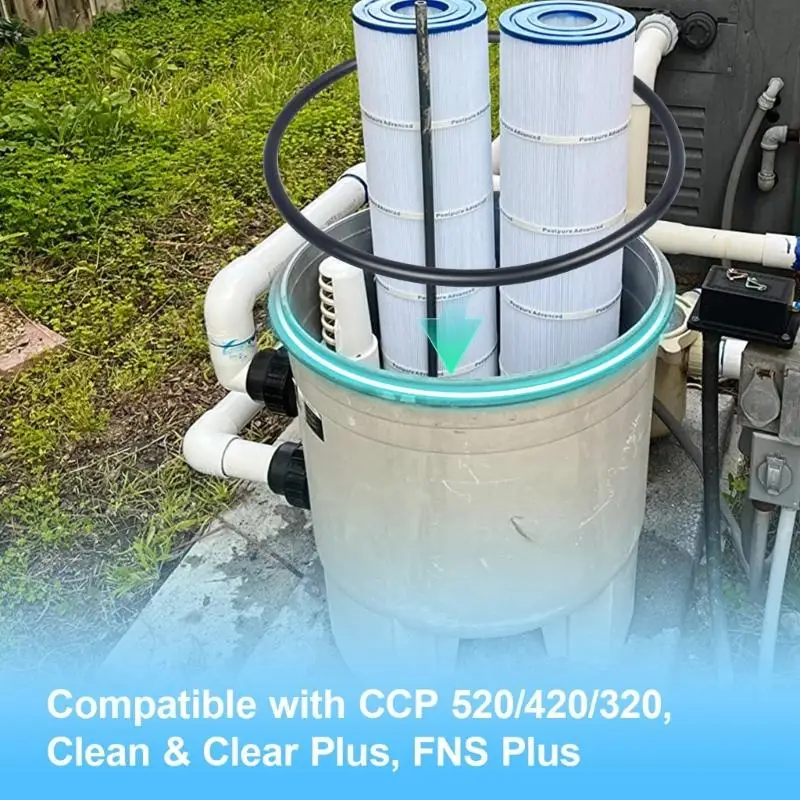 Langlebige Gummi-O-Ring-Dichtungen für CCP 520/420/320 und FNS Plus-Filter, Schwimmbad-Filtertank-Druckdichtung D2RD – Detail 5