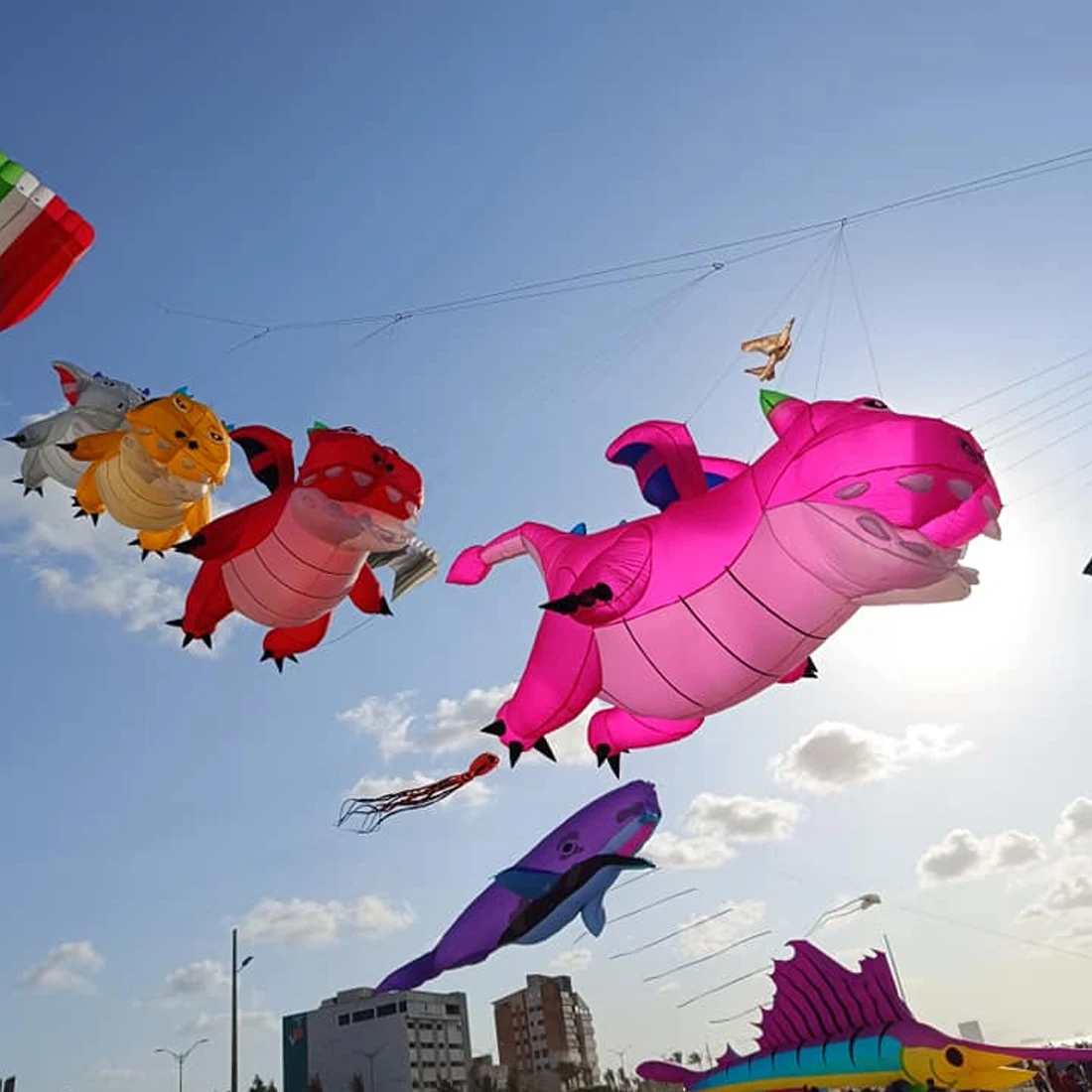 9 كجم 3.5 متر الطالب الذي يذاكر كثيرا التنين طائرة ورقية خط الغسيل قلادة لينة نفخ عرض طائرة ورقية لمهرجان الطائرة الورقية Ripstop نسيج النايلون مع حقيبة