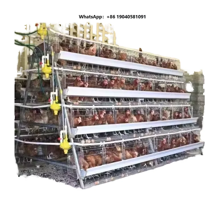 Large Portable Chicken Coop House Automatic Industrial Build Sale Cheap Layer Chicken Cage for Laying Hens Hot Metal Run New