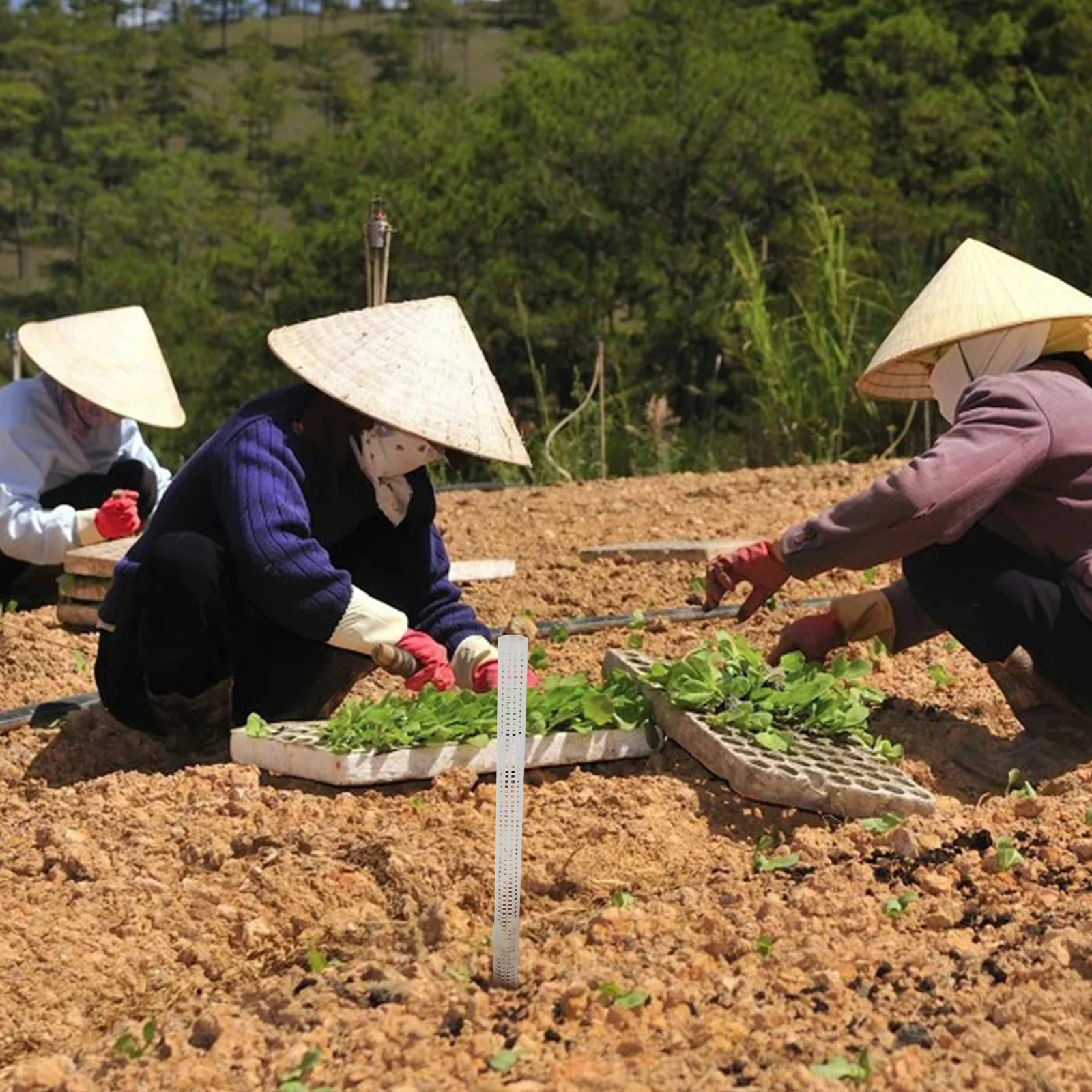 

2Pcs Plant Climbing Column Reusable Plastic Plant Support Pillar for Creeper Vine Growth Gardening Supply Climbing Plants