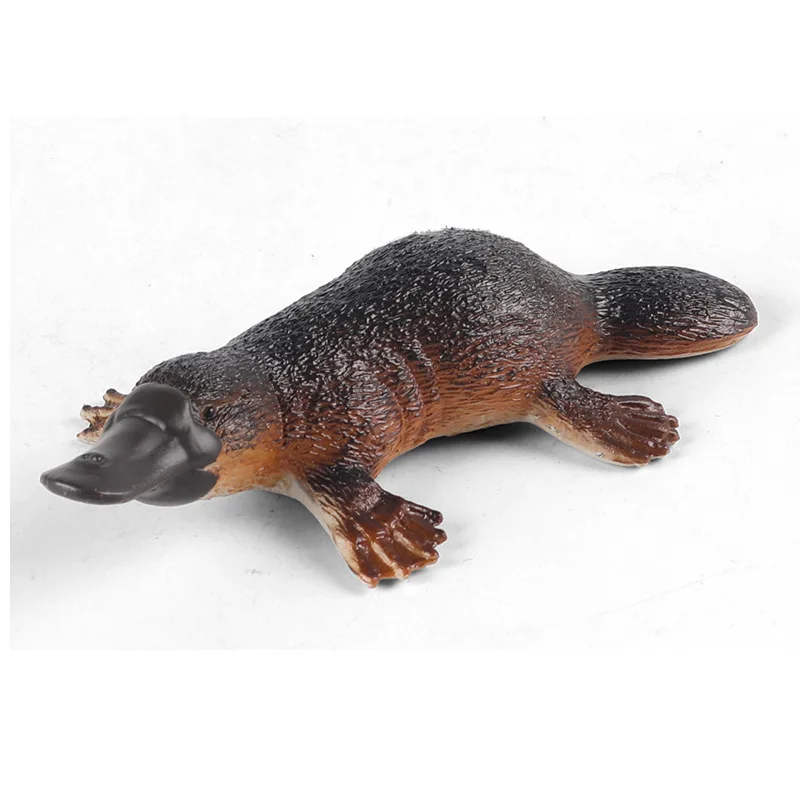 Children's cognitive simulation solid model medium platypus Australian wildlife toy model ornaments