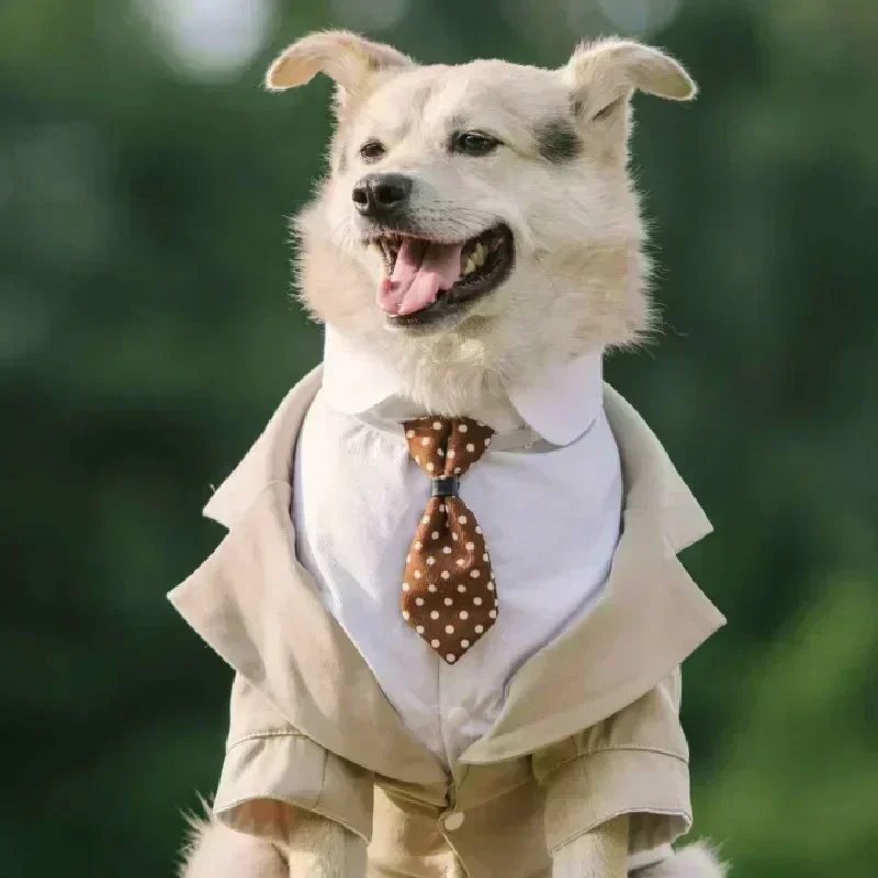 Menino roupas para cães smoking poodle schnauzer corgi shiba inu husky labrador golden retriever grande roupas para cães terno de casamento