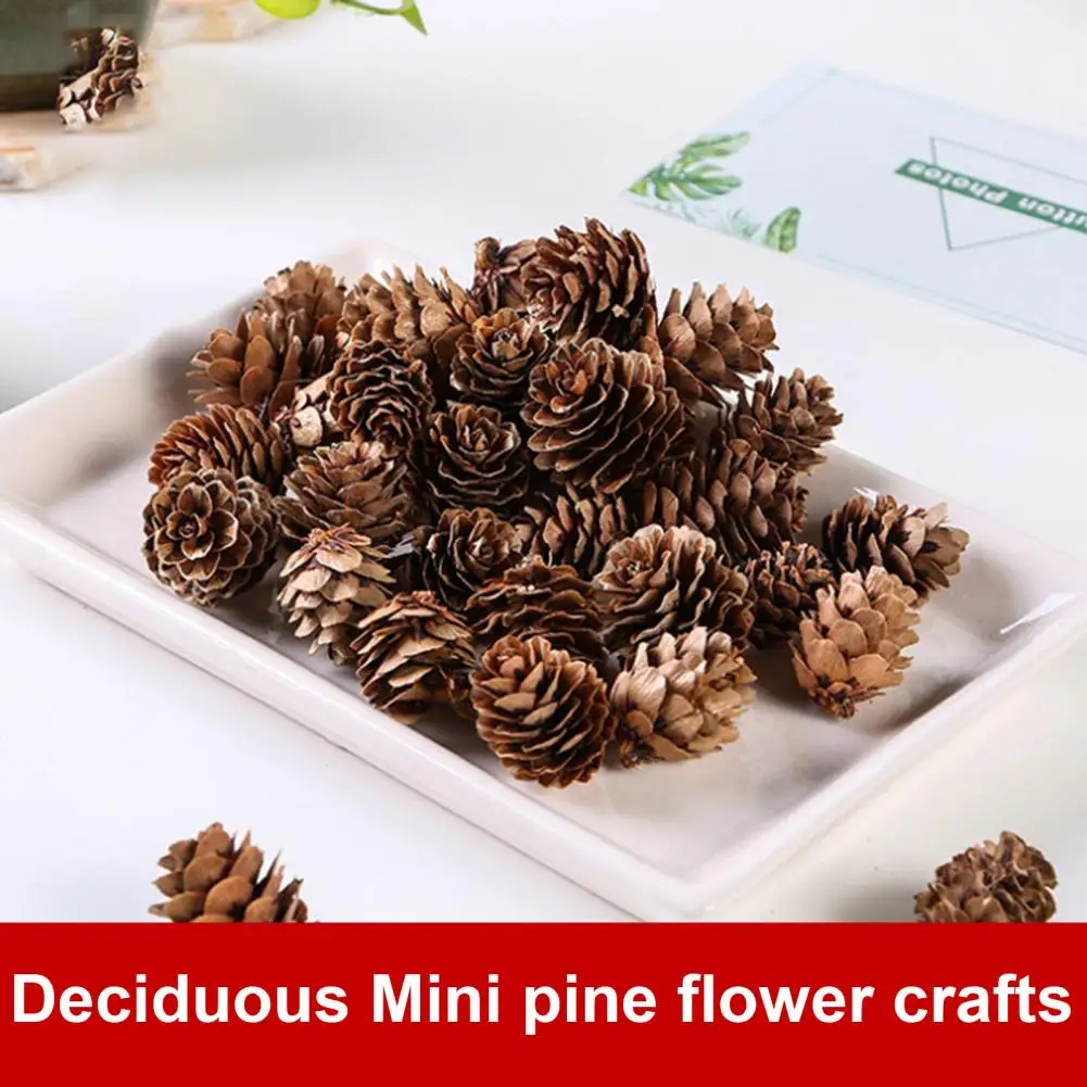 20Pcs 1.5-3cm Fake Pine Cone Natural Decorative DIY Simulation Pinecone Artificial Pine Cone For Festival Party Home Decoration