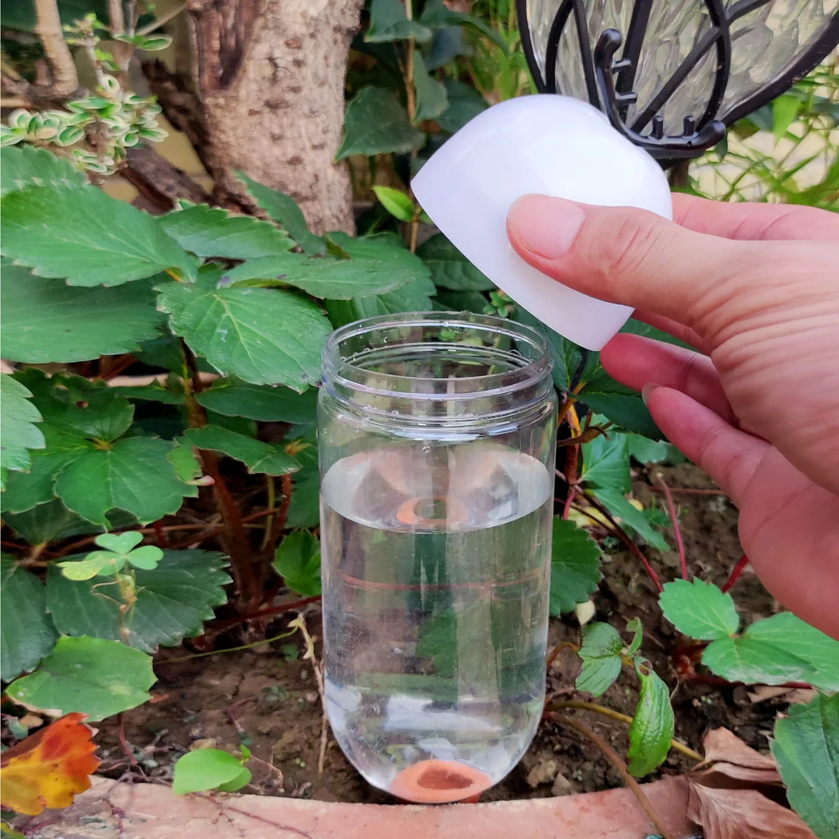 Thumbnail 4 - #35 Trending Plant Pots Right Now