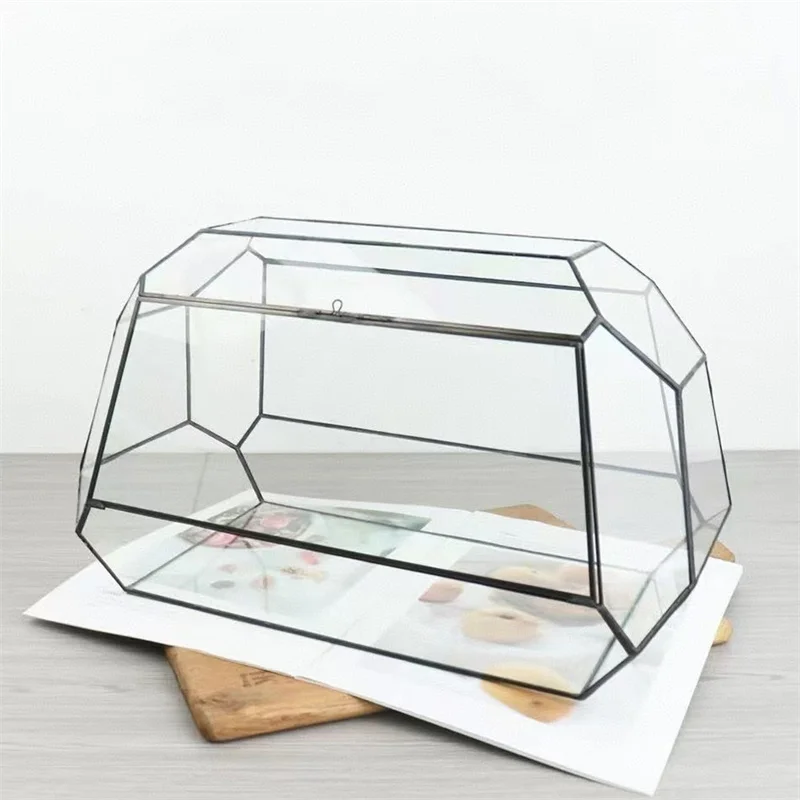 Micro Landscape Fern Moss Ecological Geometric Glass Terrarium Tabletop Succulent Plant Glass Vase Container Table Greenhouse