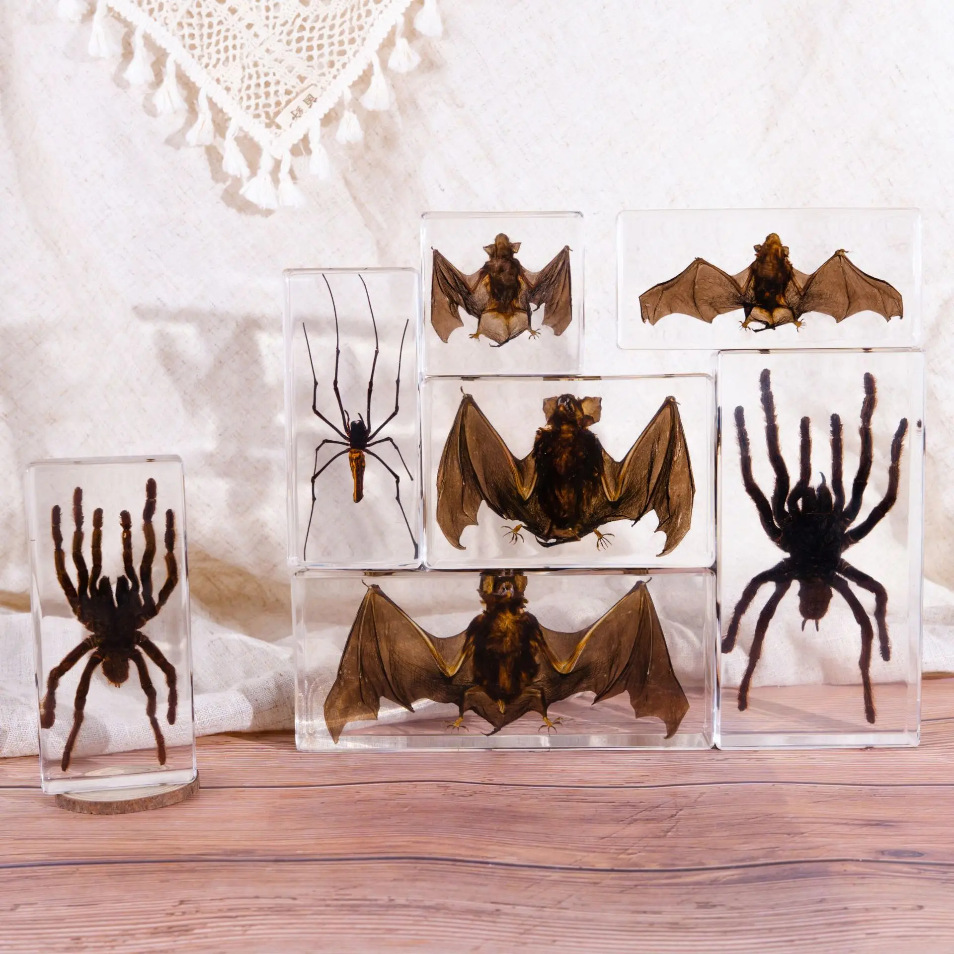 Ornamental tarantula,Nephila pilipes,Golden orb-weaver,Popular Spider & Bat Specimen Gift Ornaments: Resin Artworks