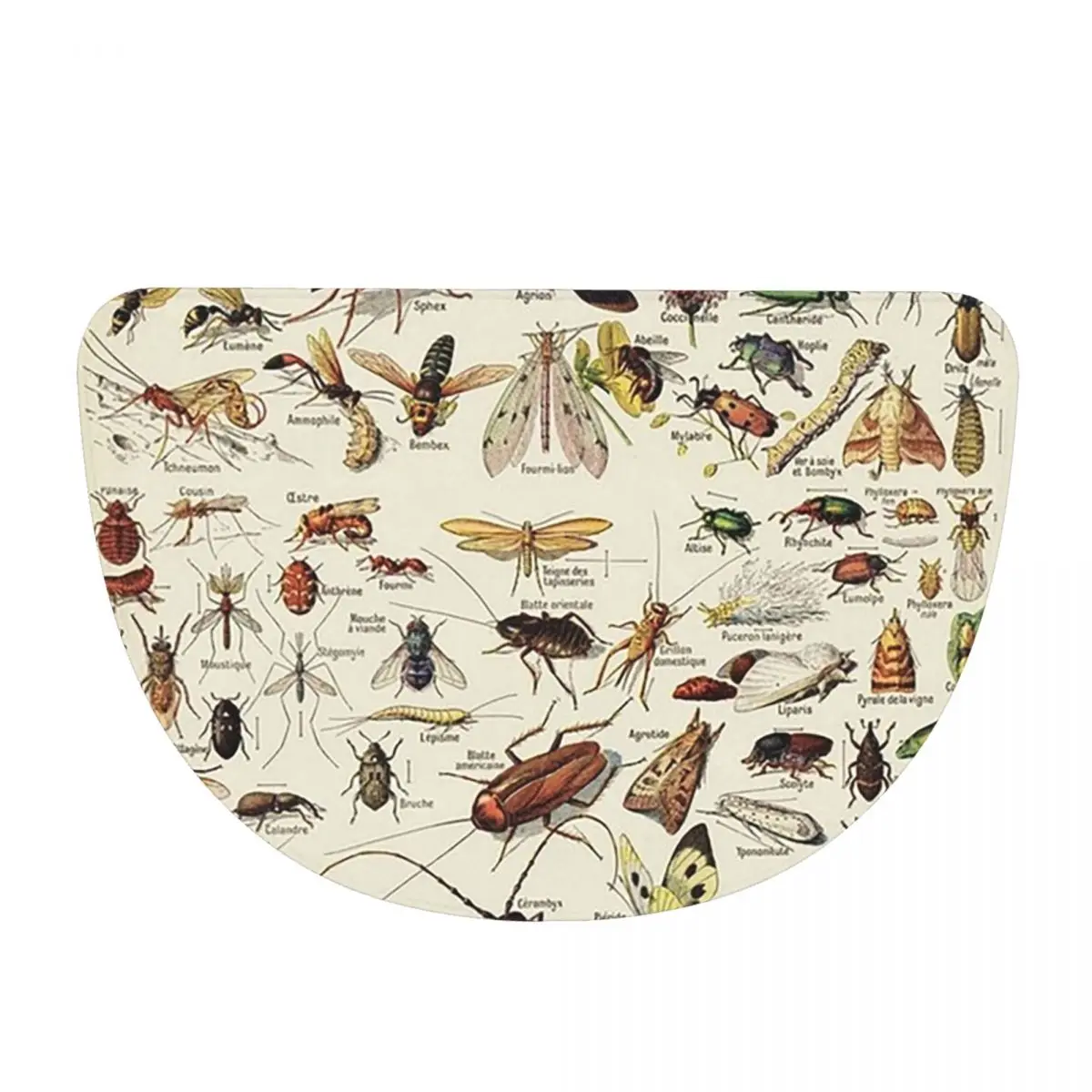 Insects Chart. Scientific Illustration, Text In French Flannel Half Round Doormat Non Slip Bathroom Mat Absorbent Floor Carpet