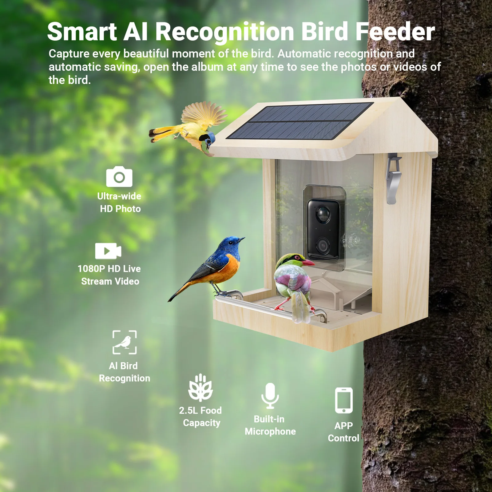 2023 Upgraded Solar Charging Identify Bird Species Auto Capture Videos Motion Sensor Smart Pine Wood Bird Feeder With Camera