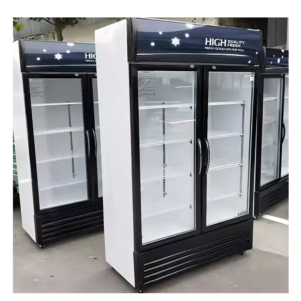 Double Door pepsi Fridge Frezzer Commercial Freezer 2 Doors Refrigerator air Cooled Chiller