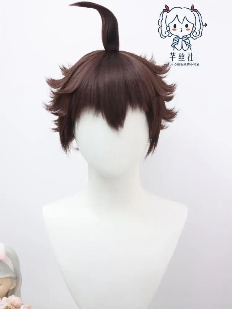 Styled Wig Anime Danganronpa Hajime Hinata Short Linen Brown Wig Heat Resistant Hair Cosplay Customized Wig + Free Wig Cap