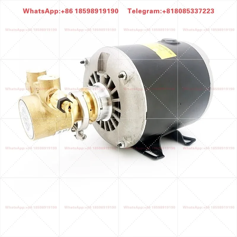 CTP platemaker la-ser head coolant circulation pump, Quansheng Chaosheng 800/1600 pump head