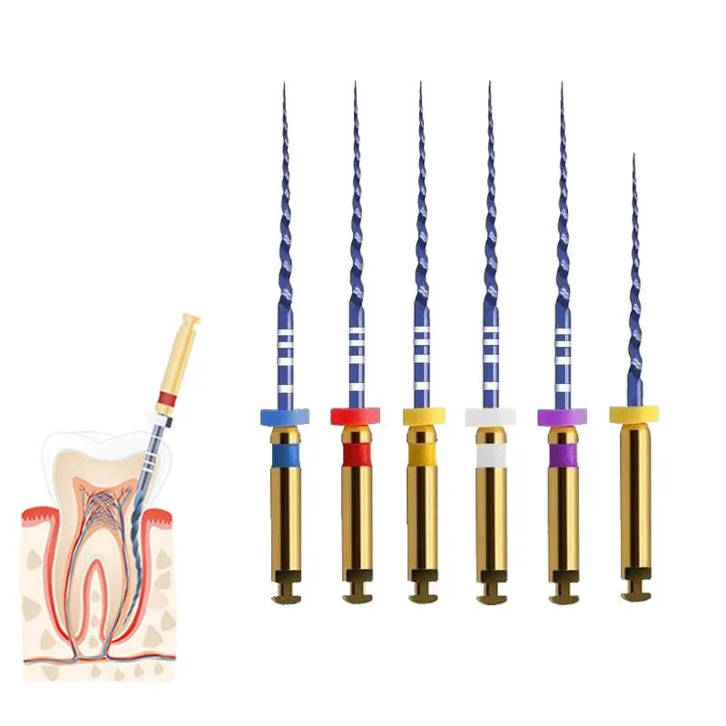 Denspay 25mm Sx-F3 Dental Heat Activated Canal Root Files Treatment Rotary File Dentist Tools Endodontic Files