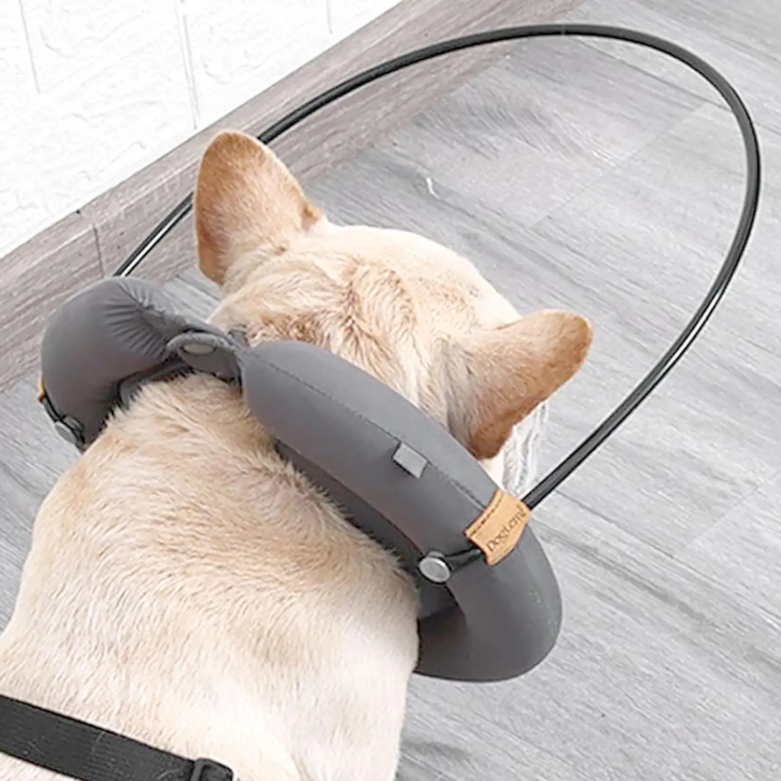 Blind Dog Collar Pet Safety Harness Adjustable Reflective Guiding Device Collar Anti Collision for Medium to Large Breeds Blind
