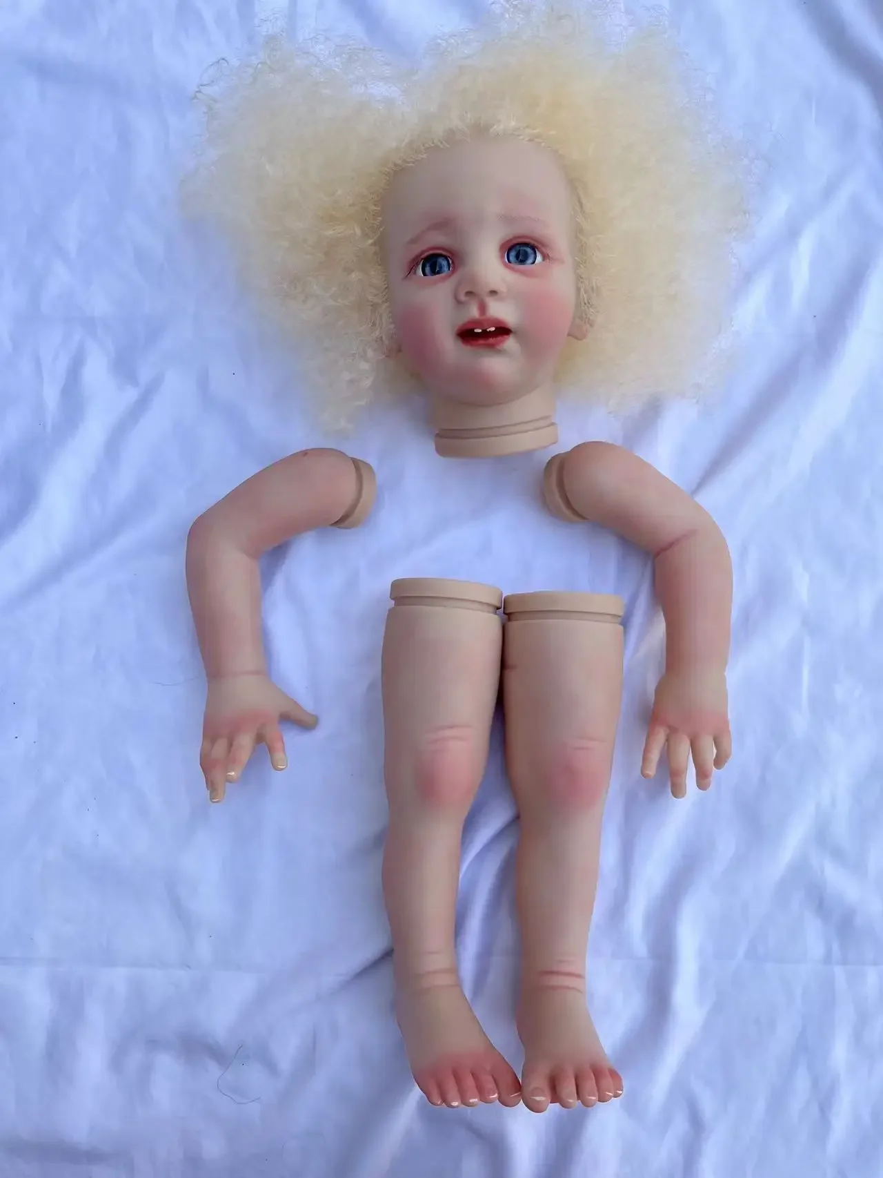 DLS 25inch Reborn Baby Fritzi Hand-Rooted Hair Real Photos With Cloth Body Part Christmas Gift