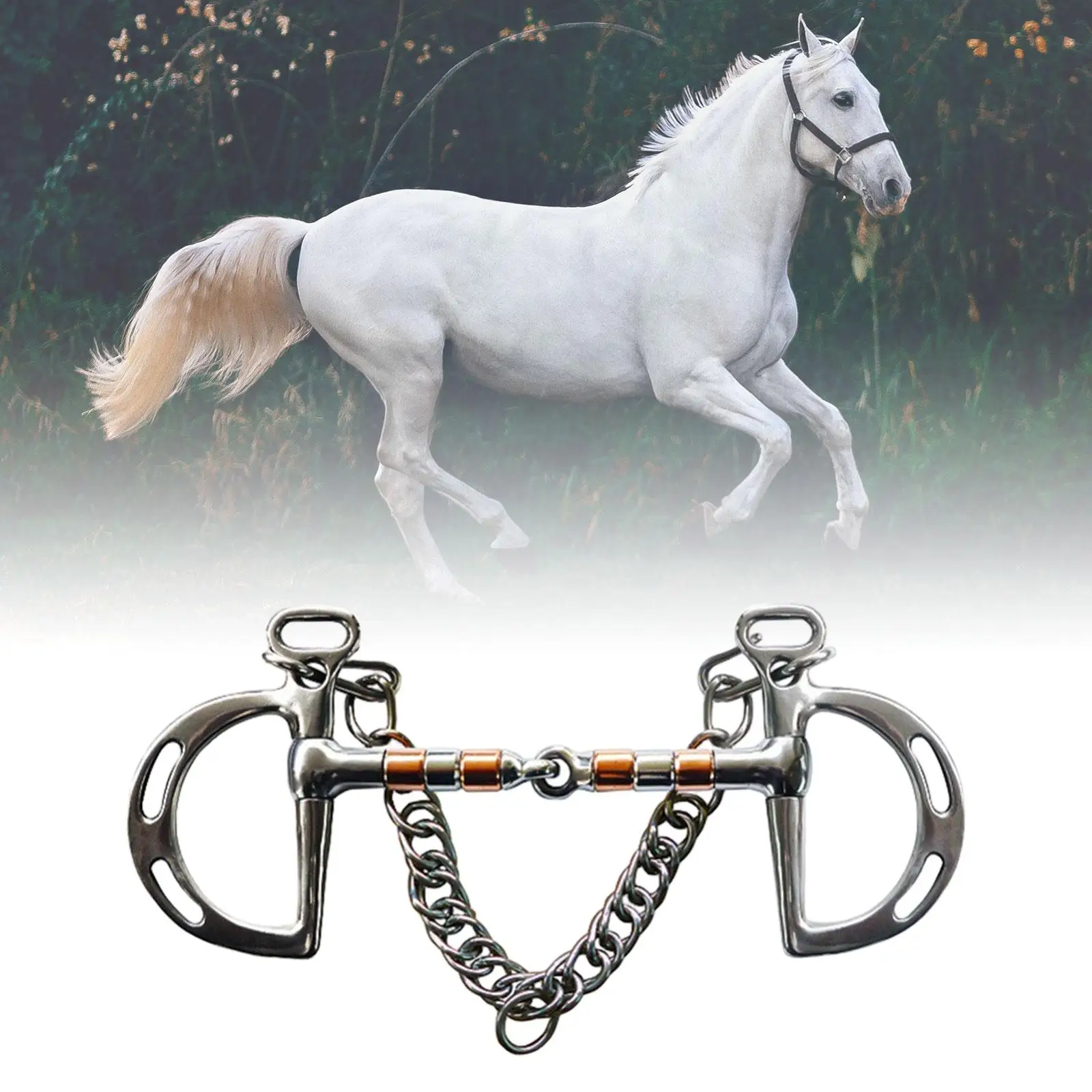 Horse Bit Mouth Horse Gag Bit for Horses Mules Outdoor Sports Training